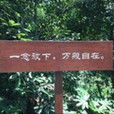 春水船如天上坐