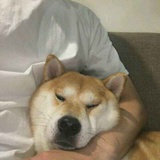 '