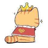 君柒柒