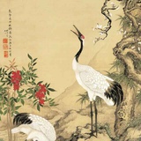 明冲