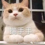 天天睡大觉