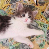 一年F班相原琴子