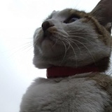 乱码123