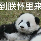 摇头晃脑小脑斧