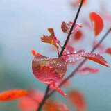 一千年之后