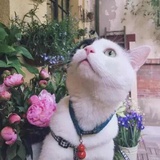 小蜗球