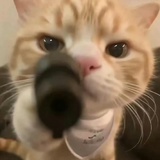落霞与孤鹜齐飞