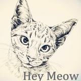 HeyMeow