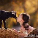 肆翊年