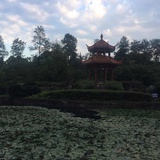 小七