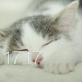 效应Bcell