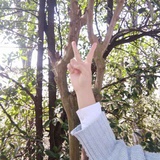 白水
