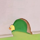 礼礼