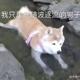 找和寻