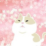 慢熟