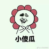 小傻瓜