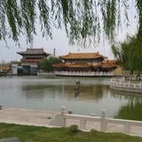 绿洲