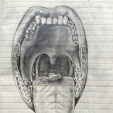 vessel_wang