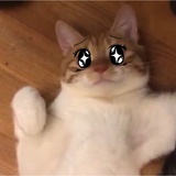 哇啦哇啦