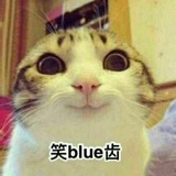阿城说
