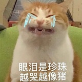 查无此人