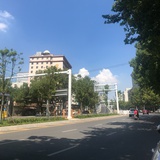 青蔬滋味长