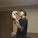 瓦西里