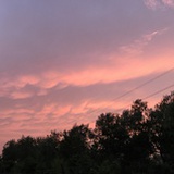 G_杯中酒已空
