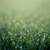 烟花易冷