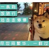 知否知否