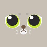 不论黑猫白猫