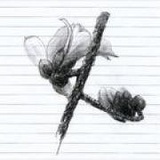 LQ1600KK