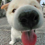 央
