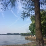 金南大叔