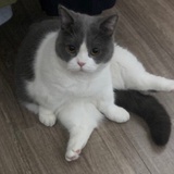 摆烂赛高