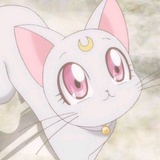 miss卷