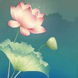 大红枣同学
