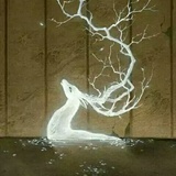 寒江雪