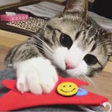 折纸