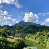 悠瑶