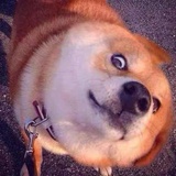 许半仙