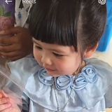 道明枫