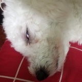 我跟你说