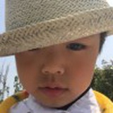 花开四季