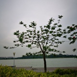 夏日香气ysl