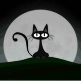 点灯猫