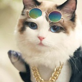 🐾Pinky💭💭💭