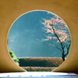 澈（眼科邱医生