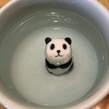 流浪的安东妮