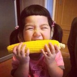 龙猫咪小分队